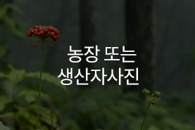 이미지 없음