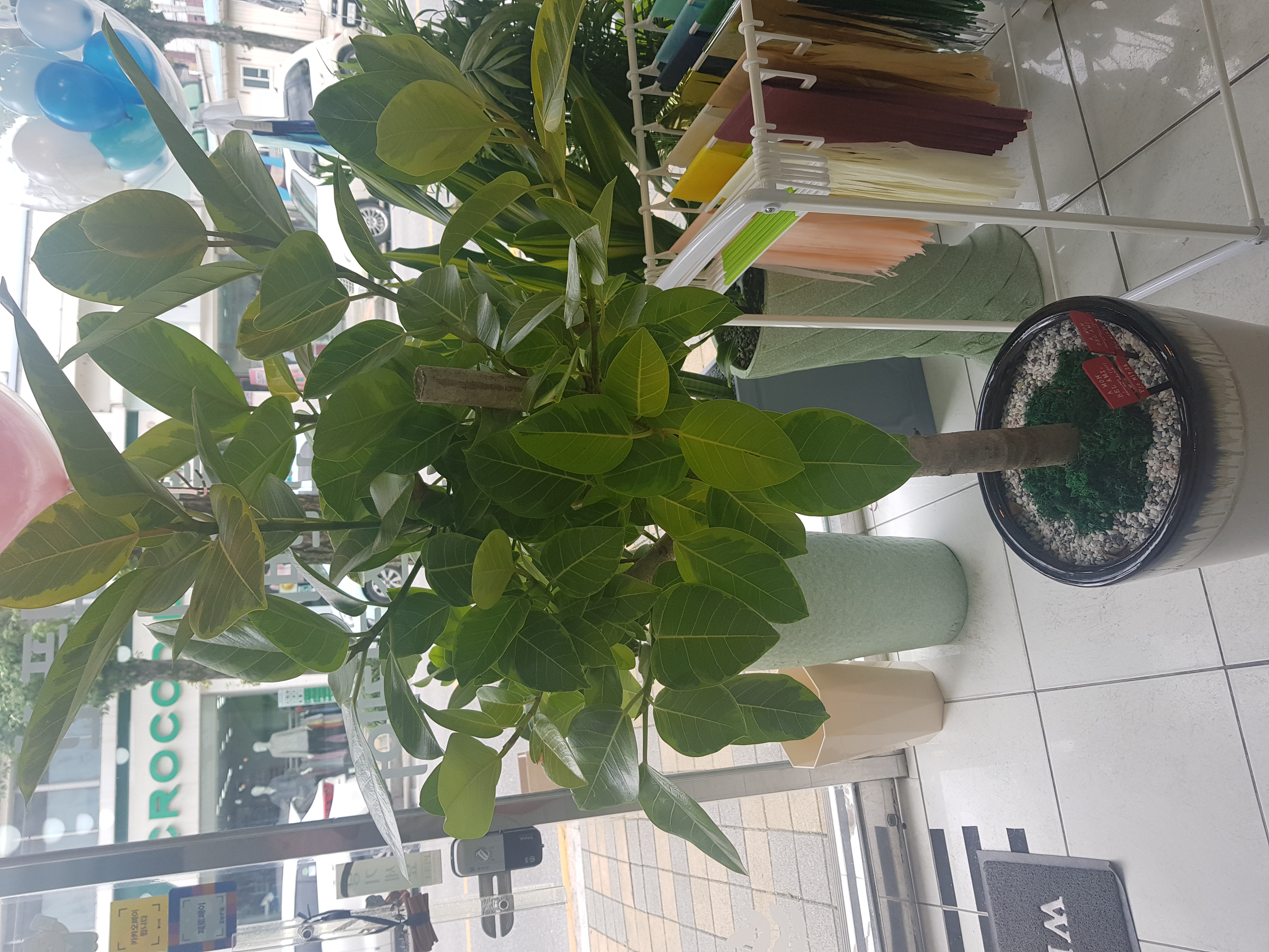 KakaoTalk_20200829_115331308_01.jpg