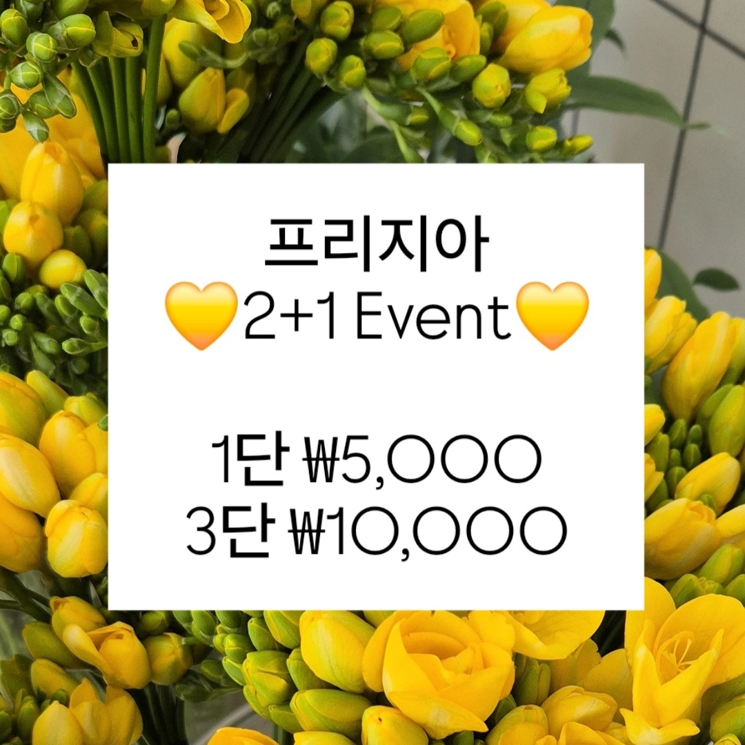 KakaoTalk_20250327_132730213.jpg