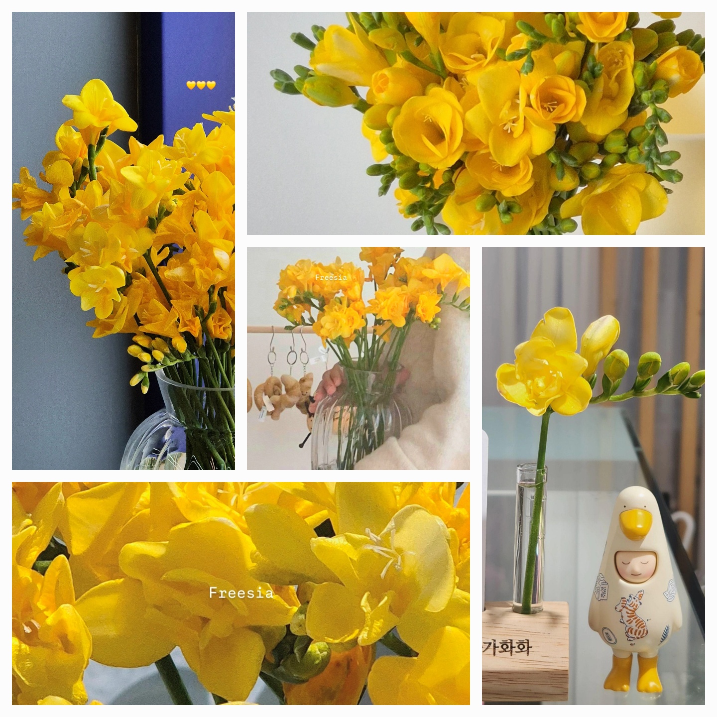 KakaoTalk_20250327_133759600.jpg