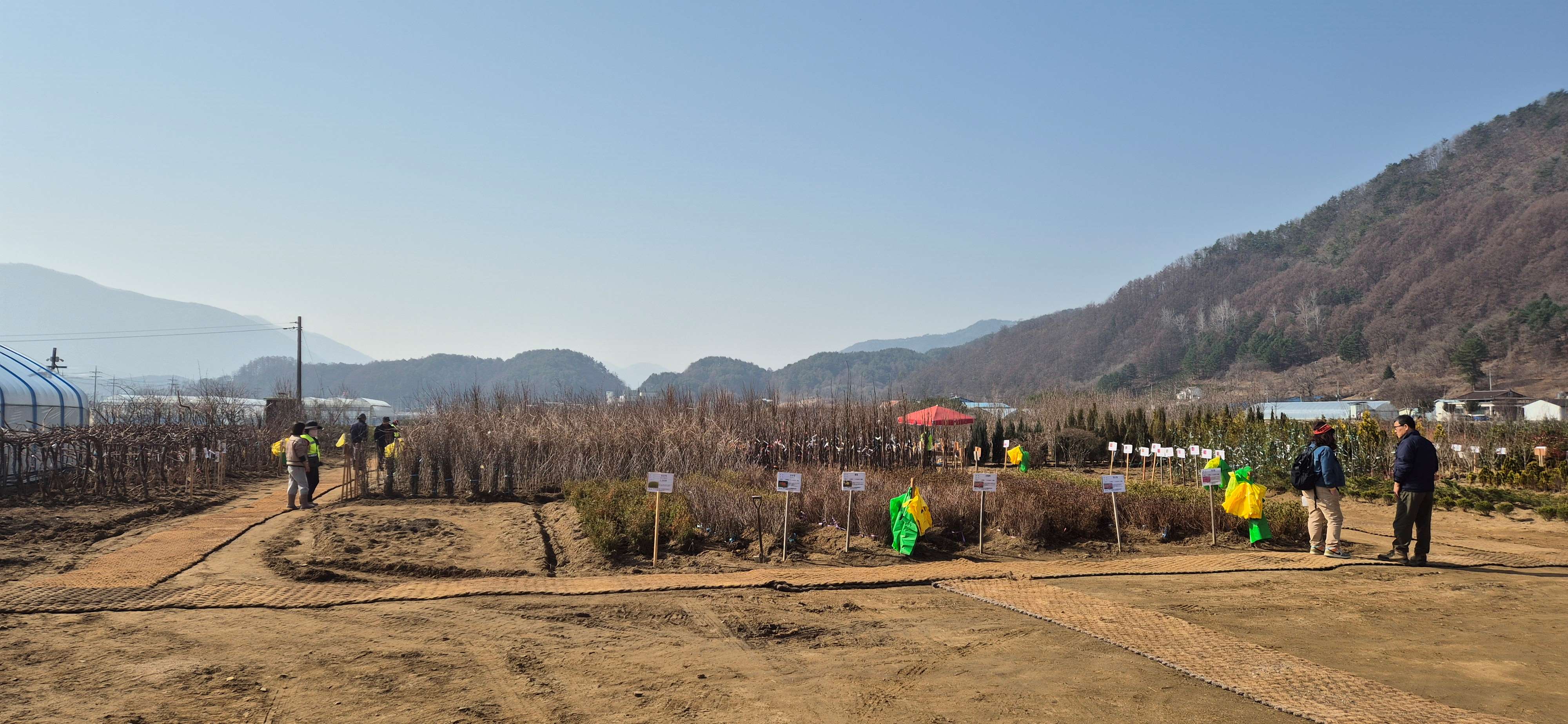 나무시장 전경사진2.jpg