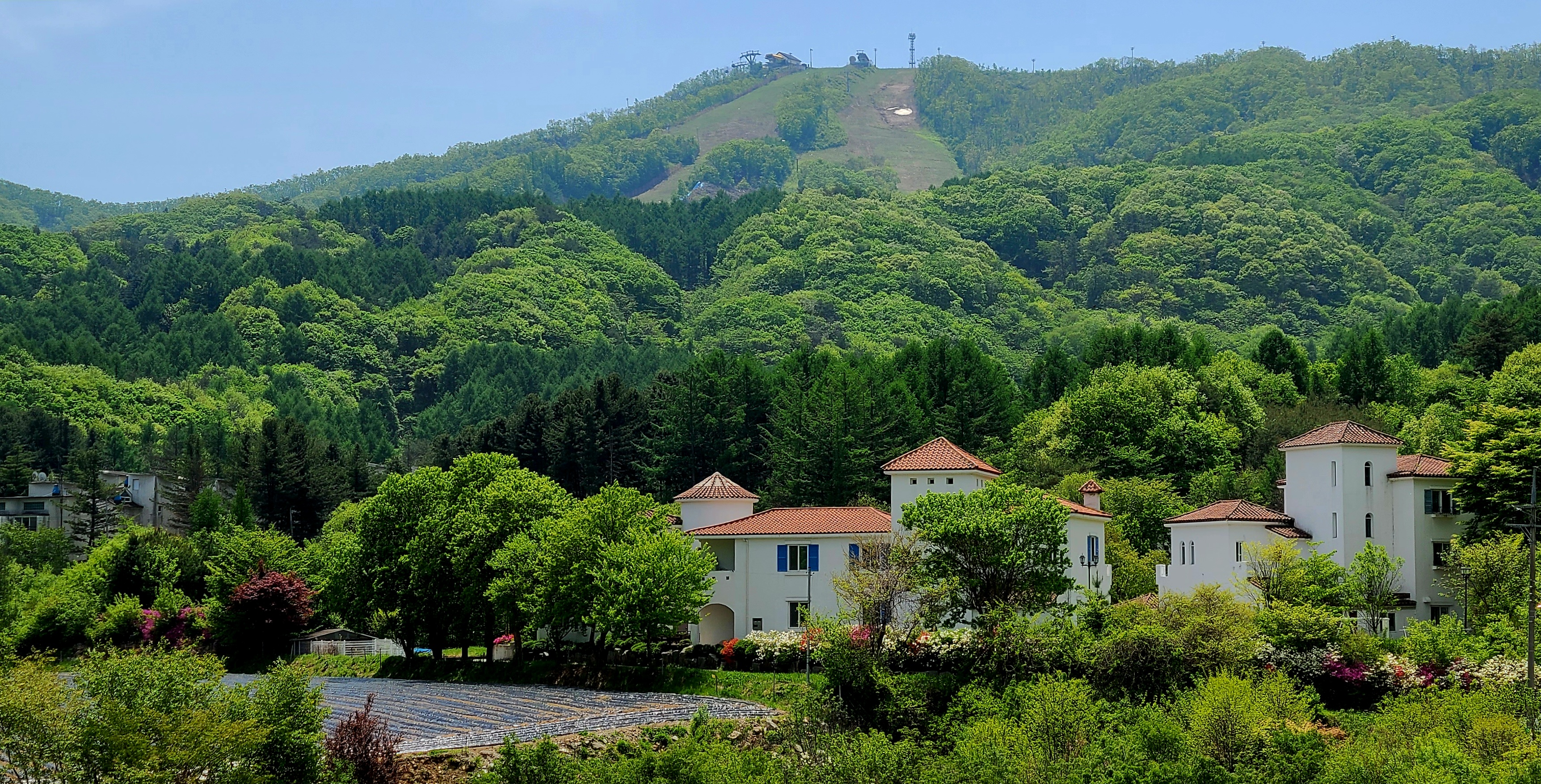 숙소의 봄 풍경.jpg