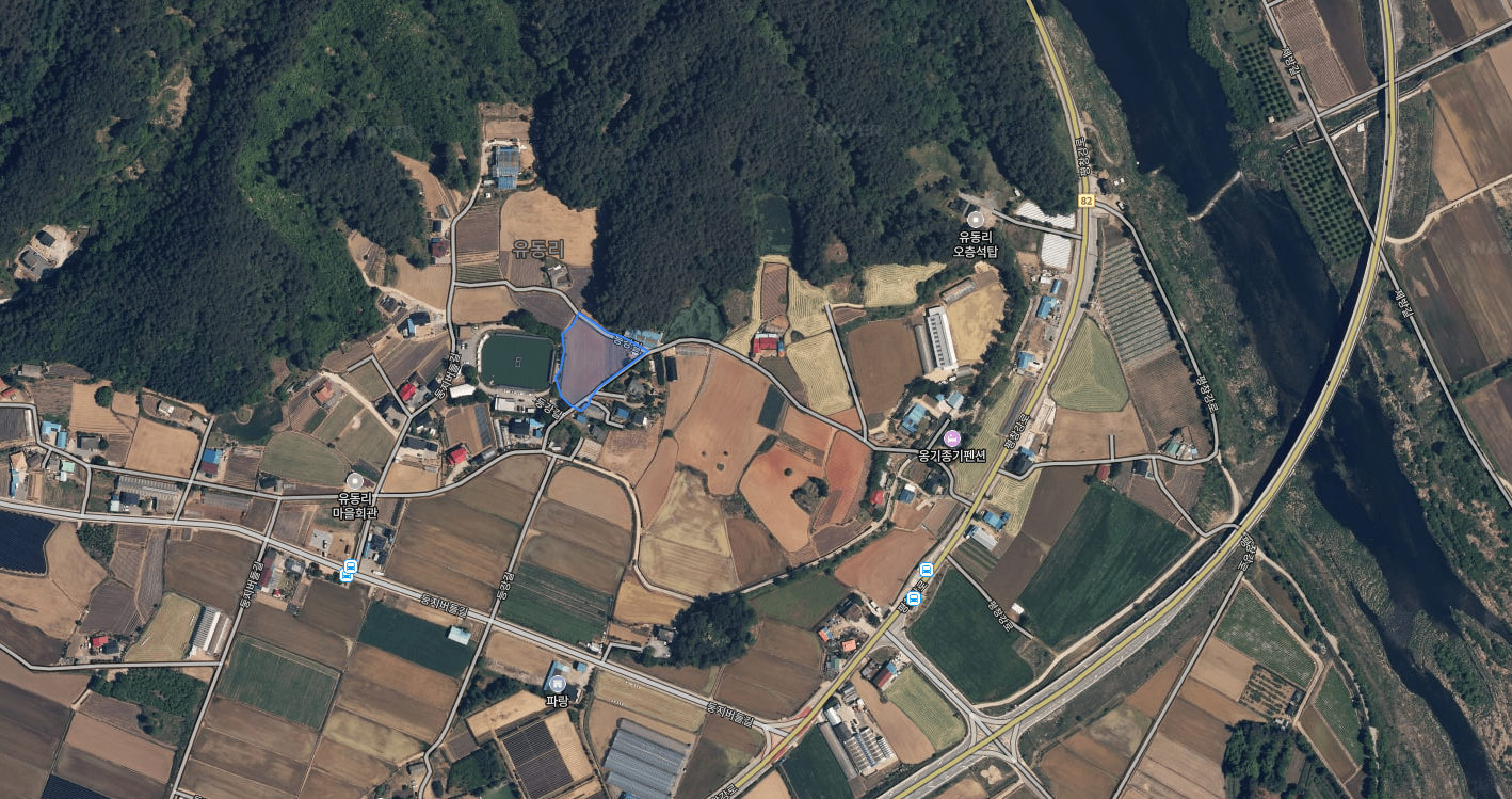 naver_map.png