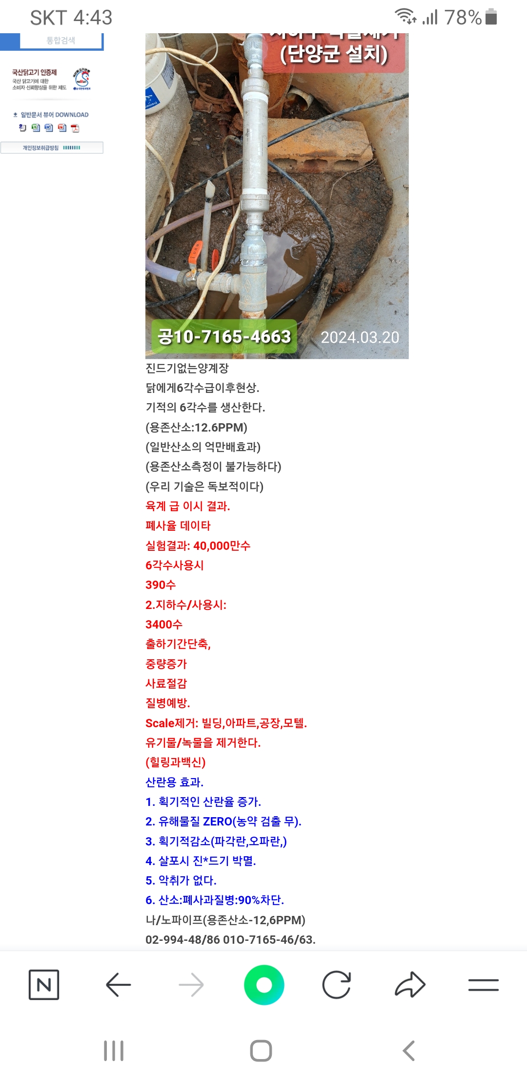 우리닭.jpg