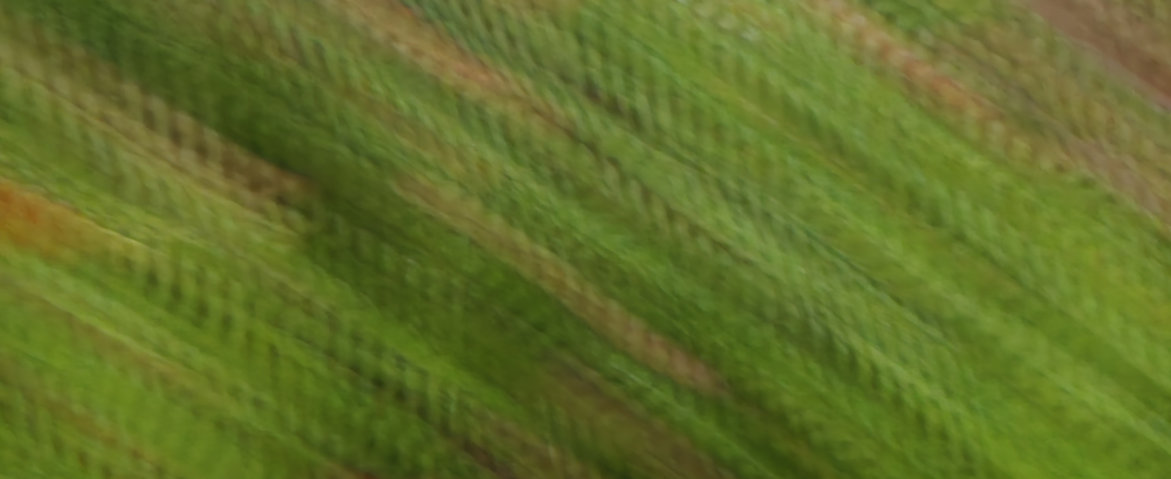 20251003_210031.jpg
