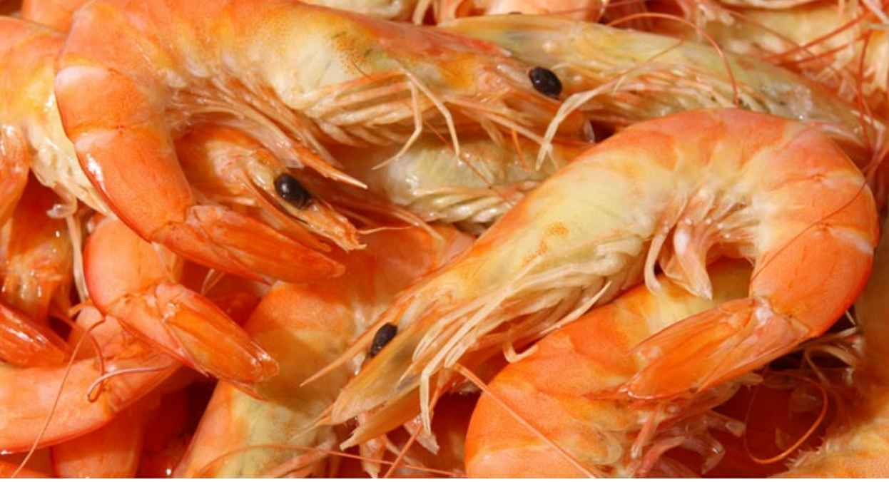 스크린샷 2025-11-05 114838.png